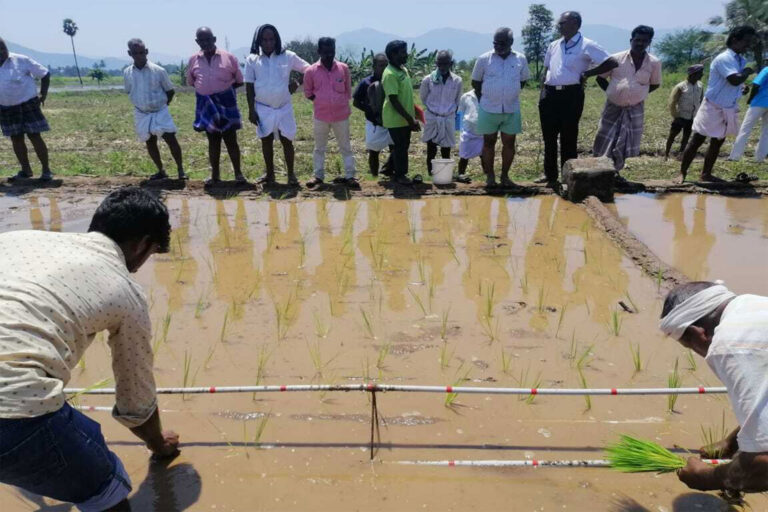 Farmer Training